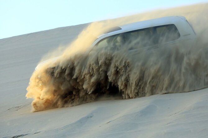 4 Hour Doha Desert Safari Tour - Key points before you book