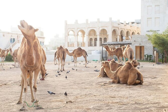 4-Hour Private Group City Tour in Doha, Qatar - Souq Waqif: Doha’s Best First Stop