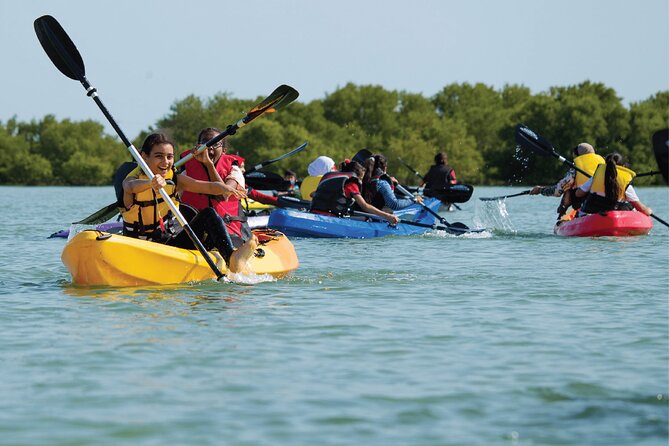4 Hours Purple Island Mangroves Kayaking Adventure in Qatar - Key points at a glance