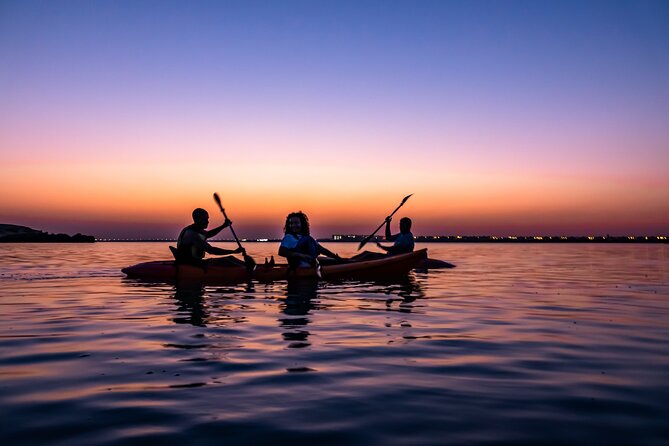 4 Hours Purple Island Mangroves Kayaking Adventure in Qatar - Why tide and weather should guide your booking