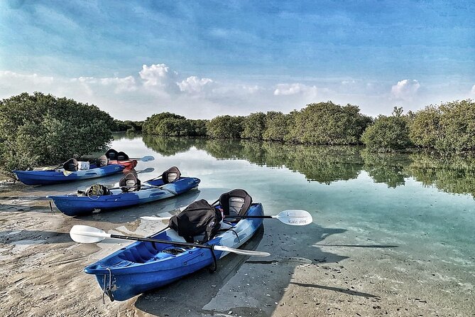 4 Hours Purple Island Mangroves Kayaking Adventure in Qatar - A private trip with room to set your own pace