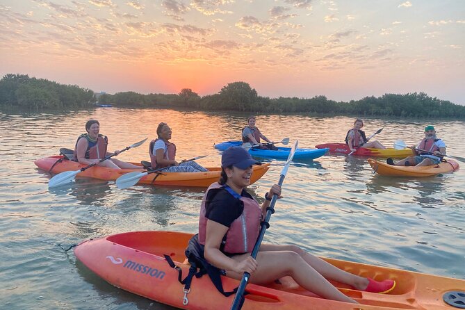 4 Hours Purple Island Mangroves Kayaking Adventure in Qatar - Birds, crabs, and fish among the reeds
