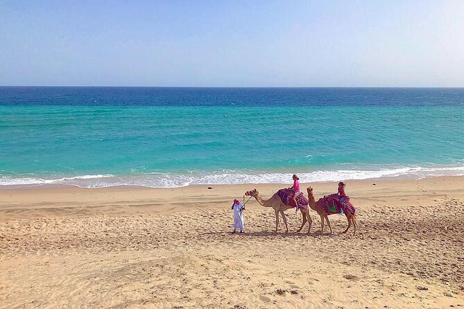 4hr Desert Safari: Sunset,Sunrise,Camel,Sand boarding,Inland Sea - Sealine begins the shift from city to sand