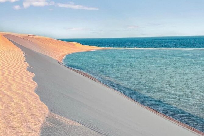 4hr Desert Safari: Sunset,Sunrise,Camel,Sand boarding,Inland Sea - Who will enjoy this desert outing most?