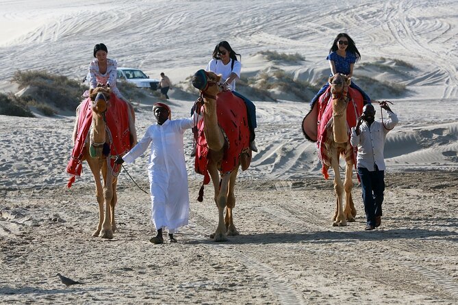 Al Majles Resort Day Pass - Activities included in the pass