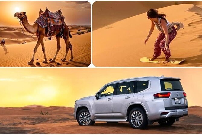 Camel Safari in Desert with Pickup and Drop off in Doha - What the camel safari actually offers