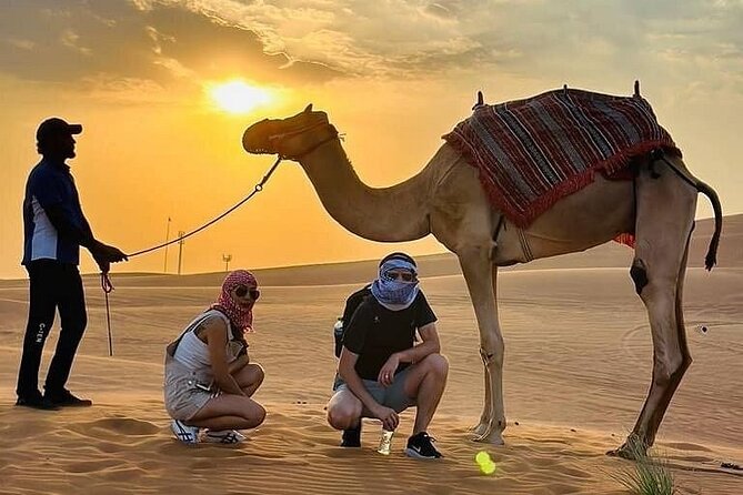 Camel Safari in Desert with Pickup and Drop off in Doha - Desert beach and Inland Sea views