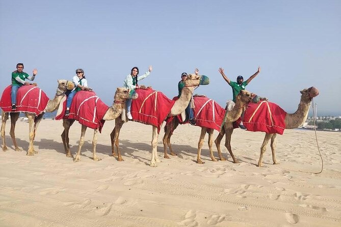 Camel trekking on the Dunes with Sunset - Leaving Doha for Sealine Beach at 4:30 pm