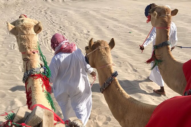 Camel trekking on the Dunes with Sunset - Practical details before you book