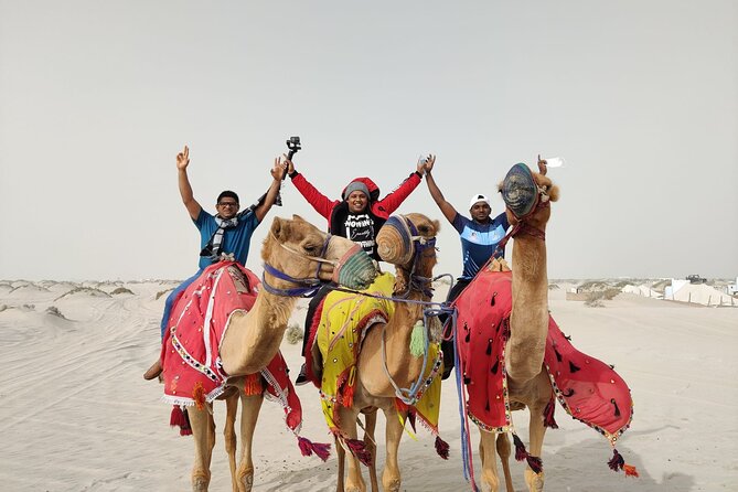 Camel trekking on the Dunes with Sunset - What happens at Sealine Beach