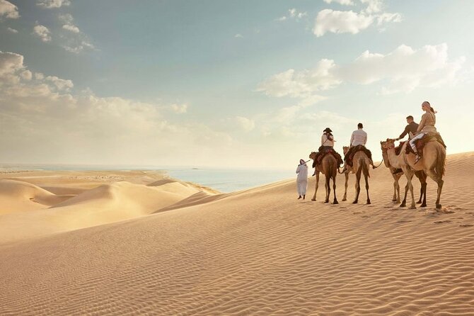 Combo Doha City and Desert Safari Tour Qatar - How the day may feel in practice