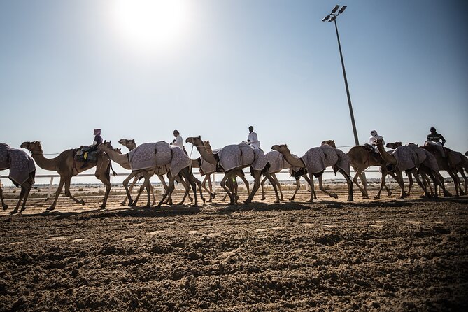 Combo West and North of Qatar Tour - Al Zubara Fort and Qatar’s Trading Past