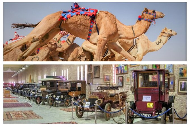 Cultural & Thrills: Sheikh Faisal Museum & Camel Race Adventure - Al-Shahaniya Camel Race Track: Qatar’s sporting tradition