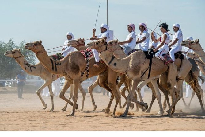 Cultural & Thrills: Sheikh Faisal Museum & Camel Race Adventure - Who will enjoy this four-hour outing?