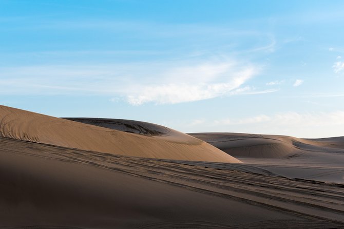 Desert Combo safari, Camel ride, Quad Bike and Dune Bashing(ALL INCLUSIVE) - Practical Tips for a Better Desert Day