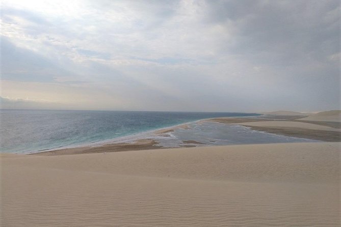 Desert Combo safari, Camel ride, Quad Bike and Dune Bashing(ALL INCLUSIVE) - Booking, Cancellation, and Weather Notes