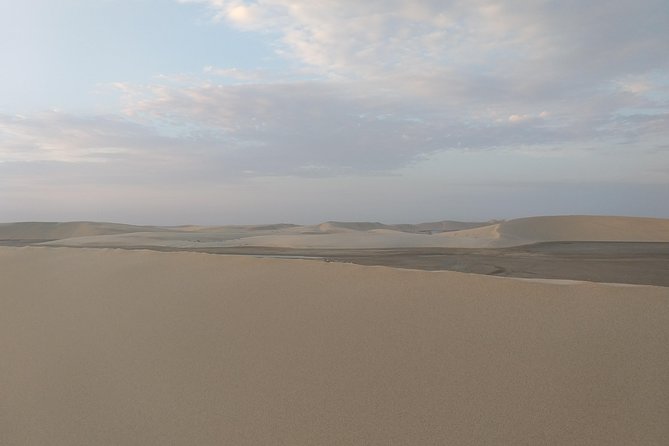 Desert Combo safari, Camel ride, Quad Bike and Dune Bashing(ALL INCLUSIVE) - Quad Biking for 30 to 40 Minutes