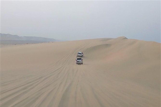 Desert Dune Bashing, Camel Ride, Sandboarding & Inland Sea. - Sandboarding across Qatar’s golden dunes