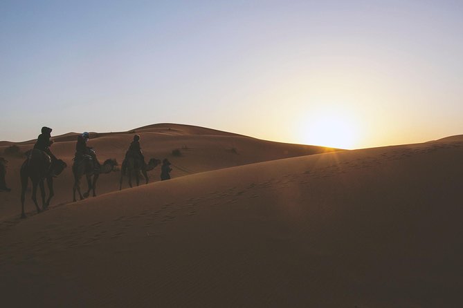 Desert Dune Bashing, Camel Ride, Sandboarding & Inland Sea. - The Inland Sea gives the tour a strong finish