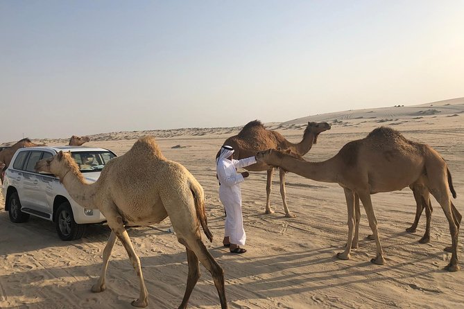 Desert Safari 7 Hours Tour with Dinner and Camp - Optional Camel Rides, Quad Bikes, and Sand Boarding