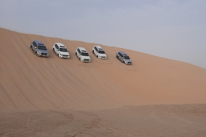 Desert Safari and Inland Sea(Private Tour) - Who will enjoy this desert safari most?