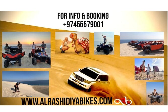 Desert Safari Dune Bashing Camel Ride Sand Surfing Atv or Buggy - Key points before you book