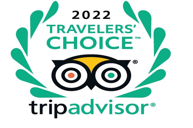 Desert safari, Dune bashing, sandboarding, camel, ATV Option - Key Things to Know Before You Book