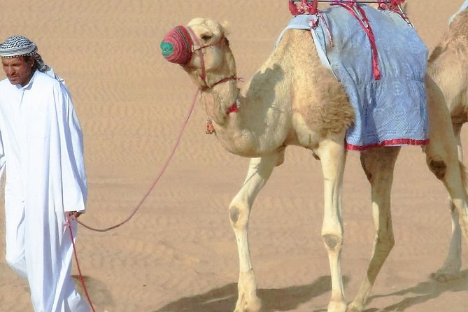 Desert safari, Dune bashing, sandboarding, camel, ATV Option - Leaving Doha for Qatar’s Open Desert