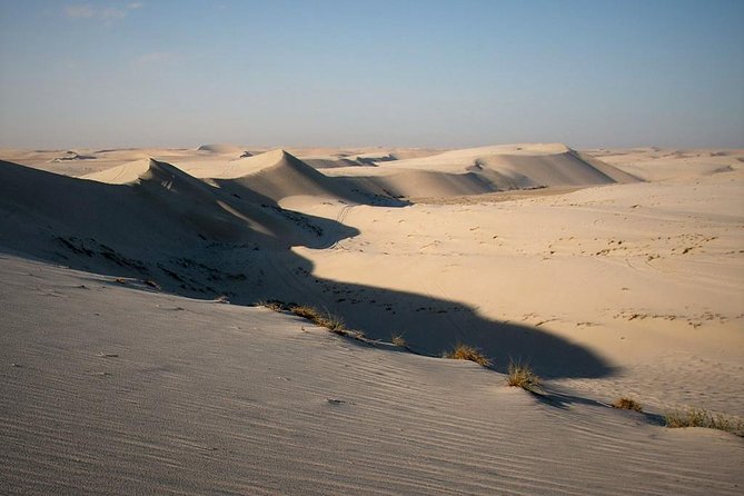 Desert safari, Dune bashing, sandboarding, camel, ATV Option - Dune Bashing Across the Soft Sand