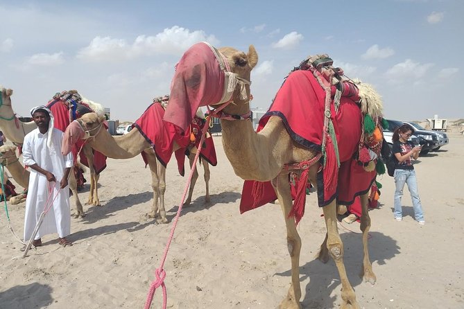 Desert safari, Dune bashing, sandboarding, camel, ATV Option - Khor Al Adaid, Where Sand Meets the Arabian Gulf