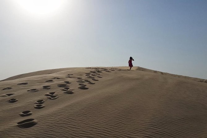 Desert safari, Dune bashing, sandboarding, camel, ATV Option - Is the $46.55 Price Good Value?