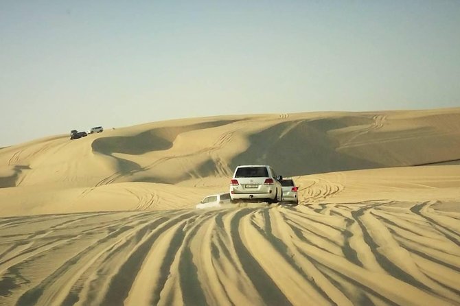 Desert safari, Dune bashing, sandboarding, camel, ATV Option - Who Will Enjoy This Safari Most?