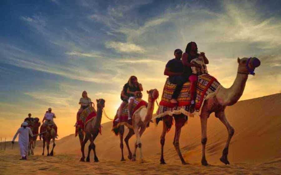 Desert Safari, Dunes Ride, Sand Boarding & Inland Sea Tour - The first 45 minutes: leaving Doha for the dunes