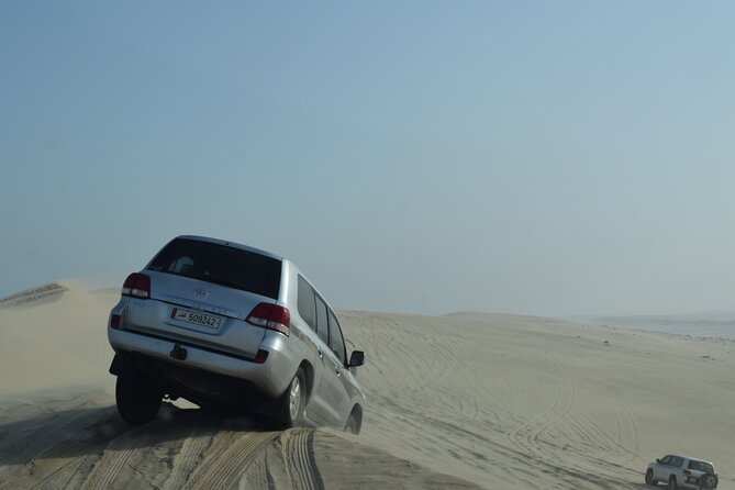 Desert Safari | Inland Sea | Half Day | Qatar | Doha - Who will enjoy this desert safari most?