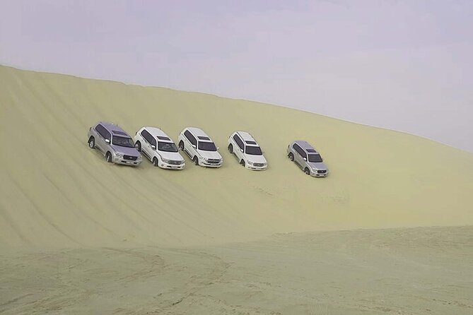 Desert safari Inland Sea Private Tour - Why this private Doha safari works well