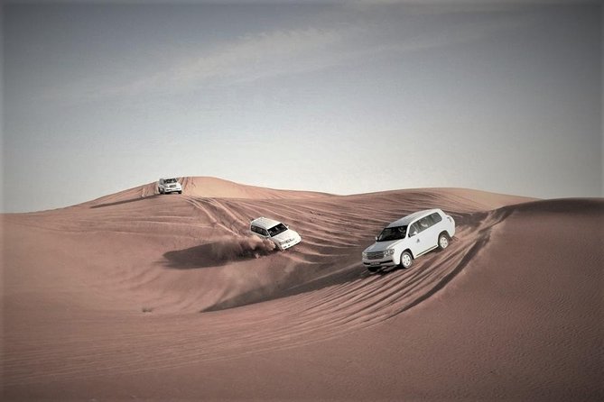 Desert Safari – Morning, Afternoon, Sunrise & Sunset Options - Why Qatar’s desert belongs on your Doha plans