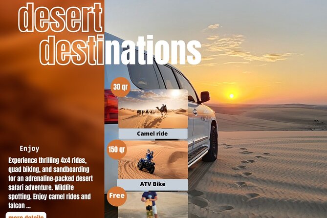 Desert Safari Qatar - What the $30 Price Really Buys