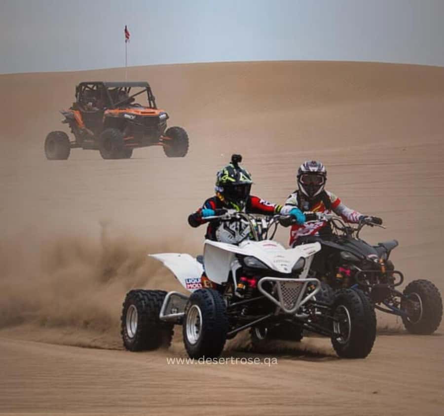 Desert Safari, Quad Bike, Camel Ride, Falcon & Sandboarding - The camel stop at Sealine Beach