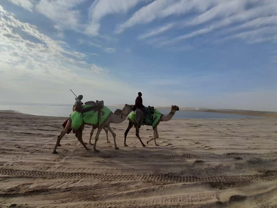 Desert Safari, Quad Bike, Camel Ride, Falcon & Sandboarding - Khor Al Udeid and the Inland Sea