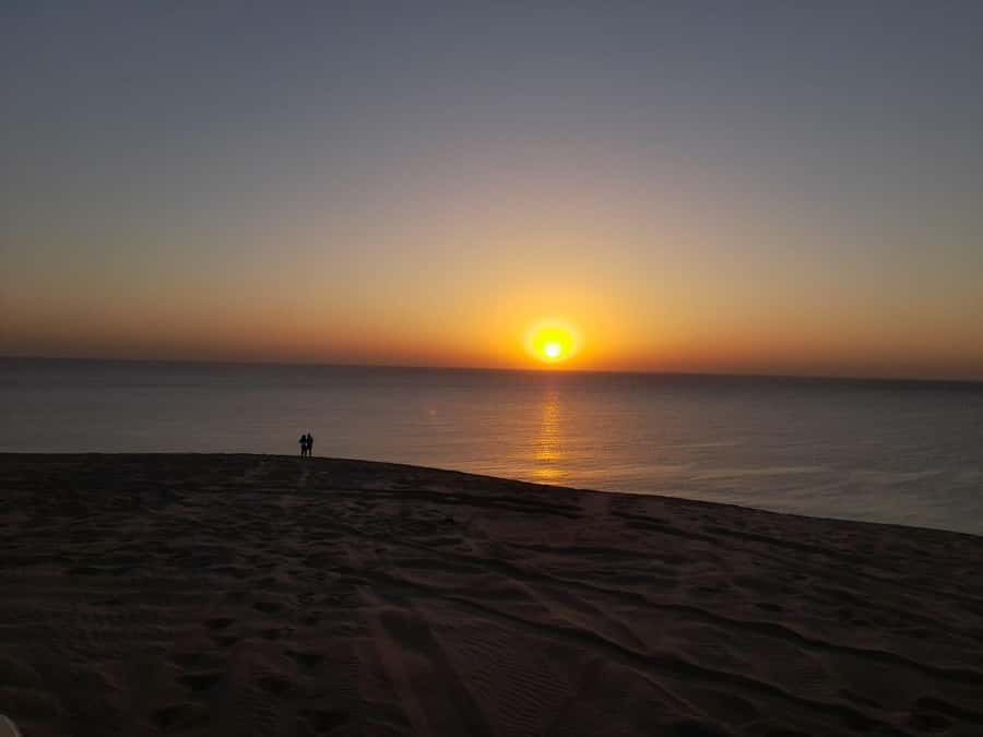 Desert Safari, Quad Bike, Camel Ride, Falcon & Sandboarding - Is $52 good value?