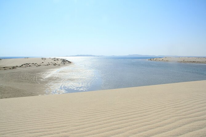 Desert Safari, Quad Bike, Sandboarding and Camel Ride - Is $100 good value for this Doha safari?