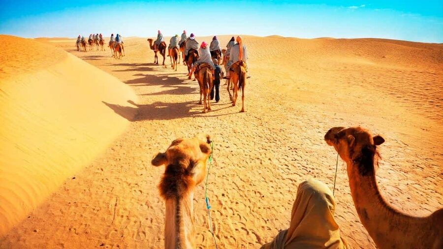 Desert Safari, QuadBike,Dune buggy, Sandboarding & CamelRide - Quad bikes and dune buggies: choose your kind of speed