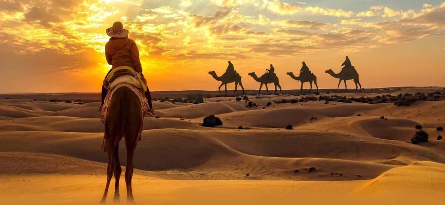 Desert Safari, QuadBike,Dune buggy, Sandboarding & CamelRide - Transport, timing, and group comfort