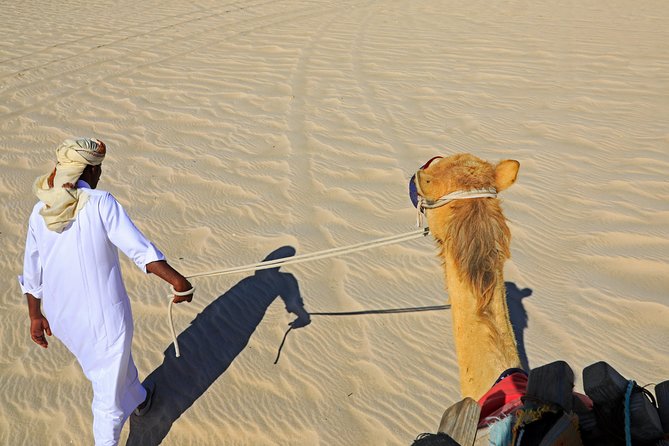 Desert Safari with Camel Ride, Sand Boarding & Inland Sea Tour in Doha - Khor Al Adaid is the scenic payoff