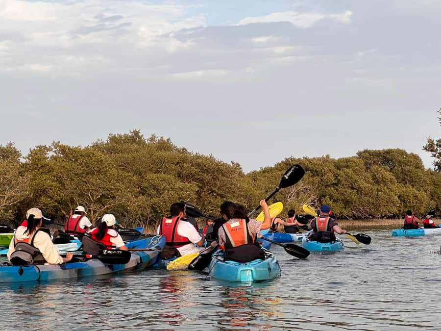 Discover Purple Island | Guided Mangrove Kayaking Experience - What to bring, and what to leave behind