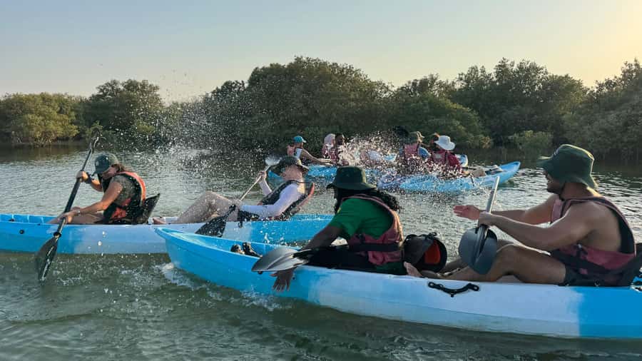 Discover Purple Island | Guided Mangrove Kayaking Experience - Making the tide work in your favor