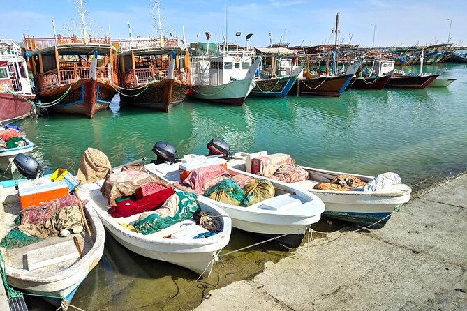 Discover Qatar’s Hidden Gems: North & West Coast Private Tour - Zekreet’s limestone formations and open desert