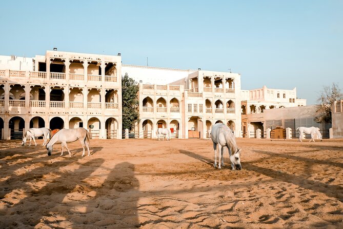 Discovering Doha Qatar | Guided City Tour | Half Day - Guides, transport, and the feel of the day