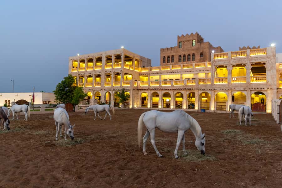 Doha: 4-Hour Doha City Transit Tour from Airport or Hotel - What the guide adds to a fast route