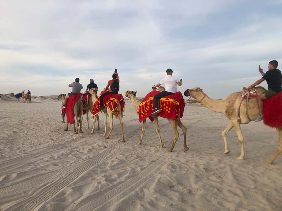 Doha Activities: Desert Safari, Dune Bashing & Inland Sea - Should you book this Qatar desert safari?